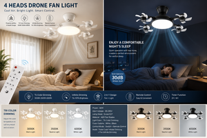 2-In-1  Fan Light