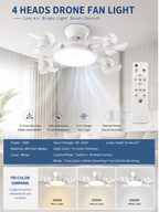 2-In-1  Fan Light